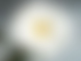 3.11