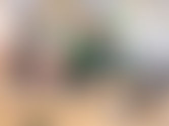 11/20(木)の様子です🎵