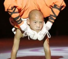 Wushu