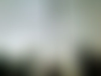 Standing Together on Veterans Day: Connection, Resilience, and Resources for Our Military Community