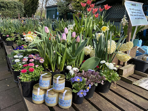 Garden Centre Image.jpg