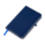Moleskine