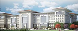 ALPKON VALİ