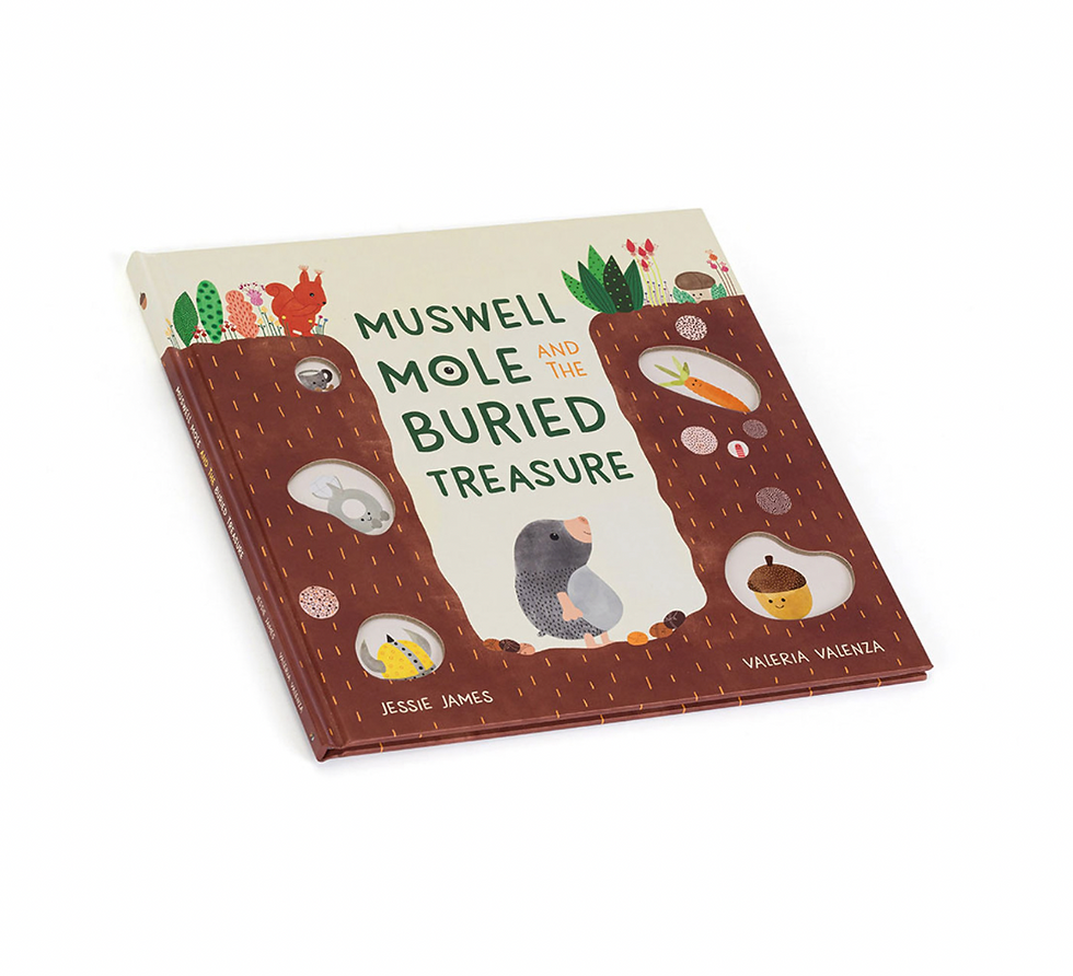 Muswell Mole And The Buried Treasure Book