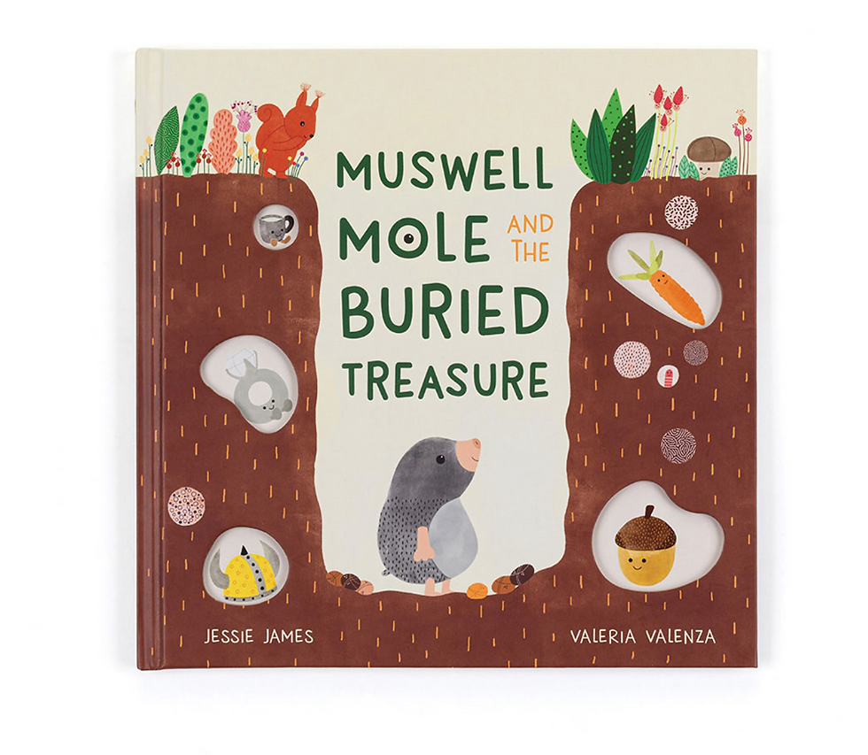 Muswell Mole And The Buried Treasure Book
