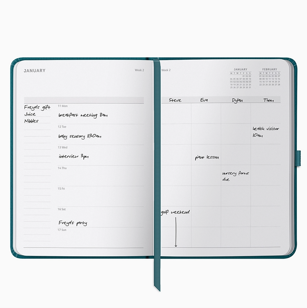 Thumbnail: Family Diary 2027 Teal Faux Inside pages