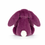Thumbnail: Bashful Allium Bunny Rear View