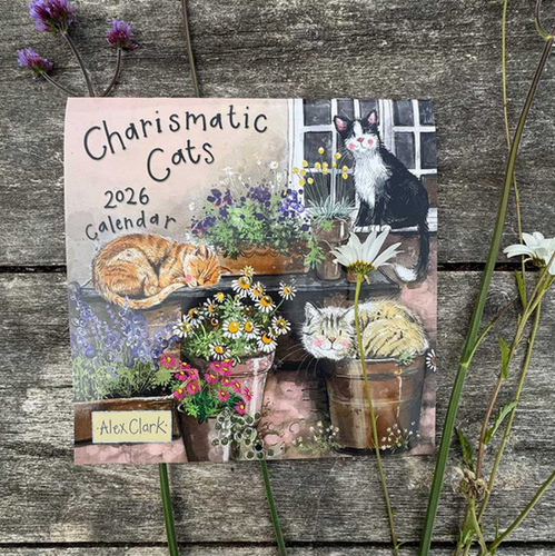 Charismatic Cats 2026 Calendar Penelope Primrose File 