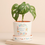 Thumbnail: Floral Nana Plant Pot with Tray