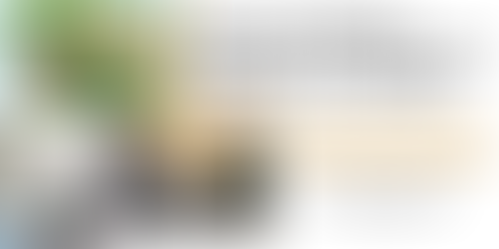 How to Minimize Damage To Your Home During the Summer