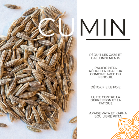 Epice Ayurvédique : Intégrer le cumin dans son alimentation