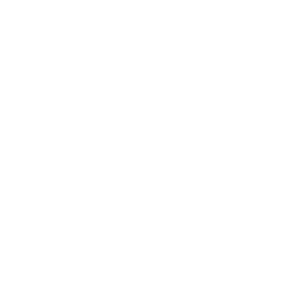 LH_logo_ichinomiya.png