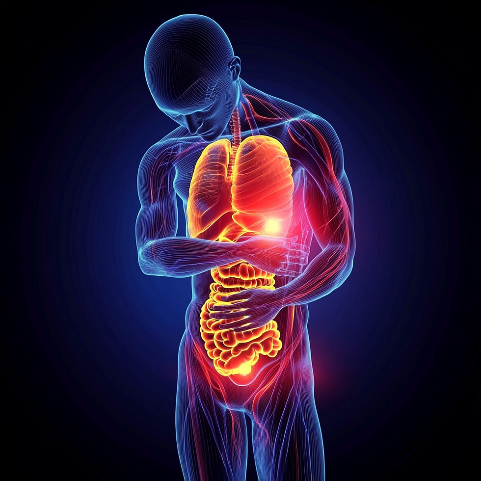 Ilustración del cuerpo humano mostrando inflamación interna en intestino, cerebro y articulaciones, representando la inflamación crónica de bajo grado.