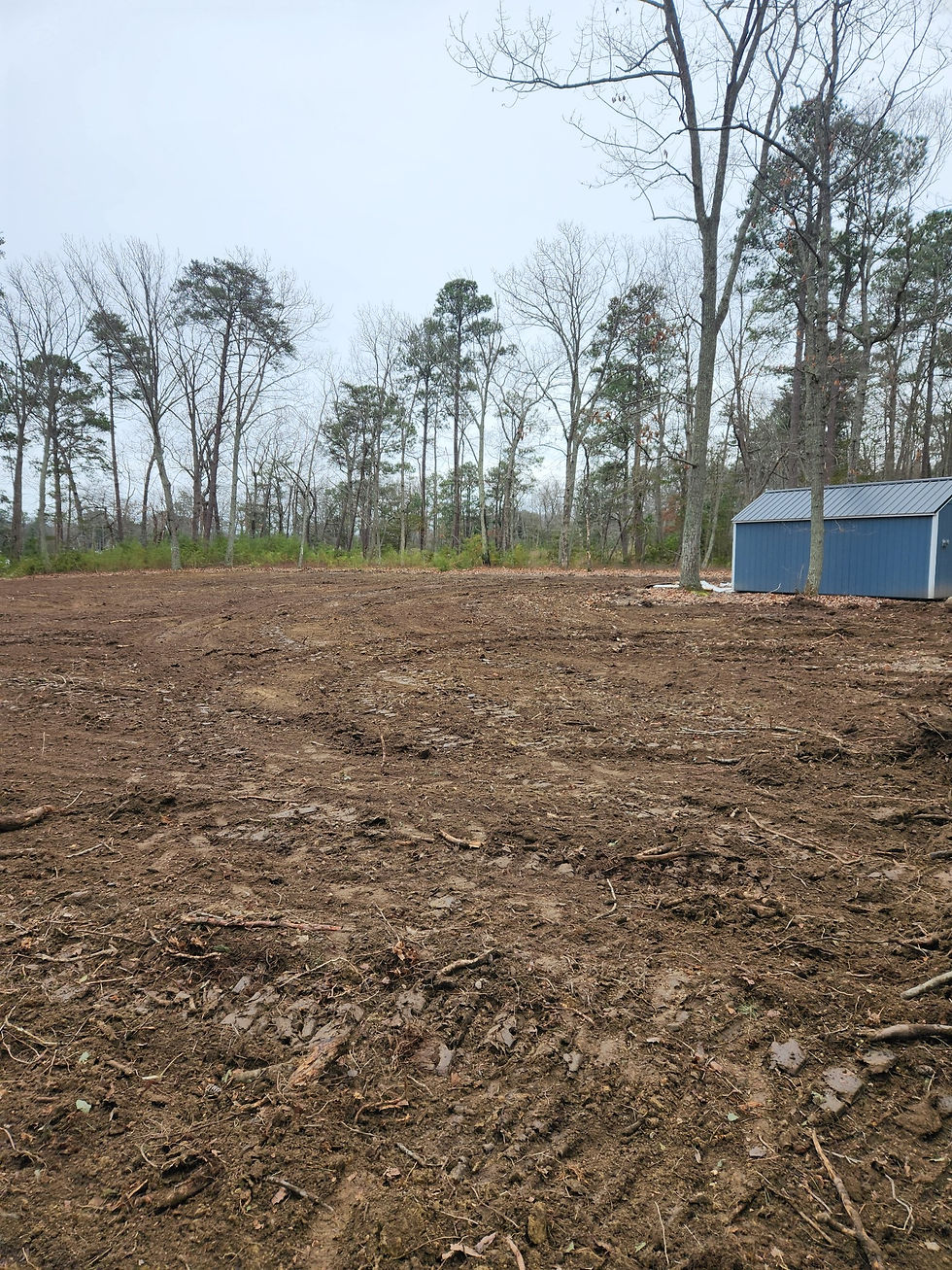 Land Clearing is almost complete!!!
