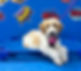 Emmy puppy (1).jpg