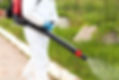 Chemical Spraying_edited.jpg