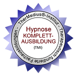 Logo vom Thermedius Institut, wo Yvonne die komplette Ausbildung in Hypnose gemacht hat, eine therapeutisch fundierte Ausbild