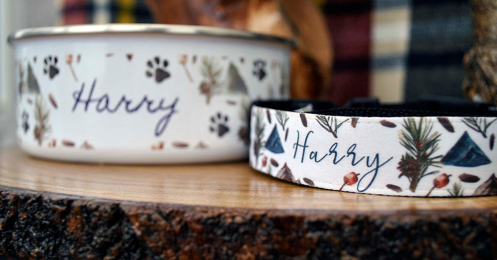 Thumbnail: Personalised Camping Enamel Pet Bowl