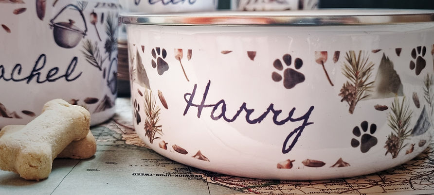 Carry on Camping Personalised Enamel Pet Bowl GYOW.jpeg