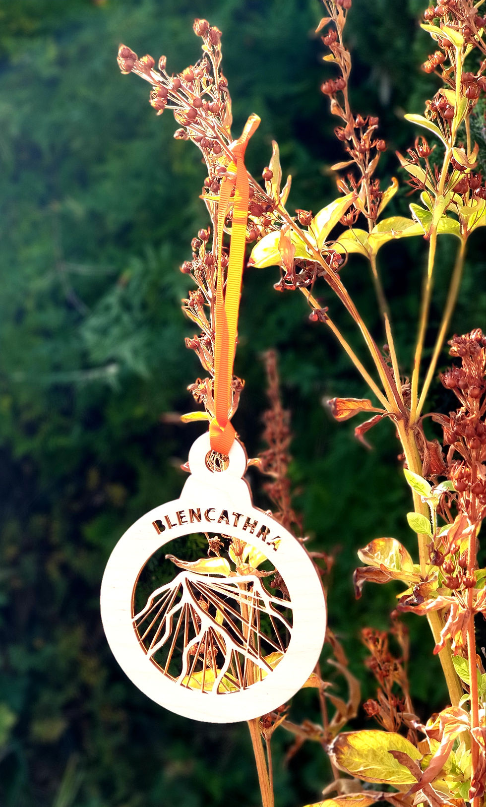 Thumbnail: Wooden Lake District Mountain Ornaments