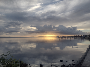 Diario de las estaciones, para qué