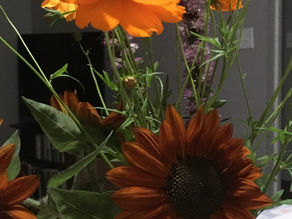 Diario de las estaciones o Algunxs, ahora, nos queremos más