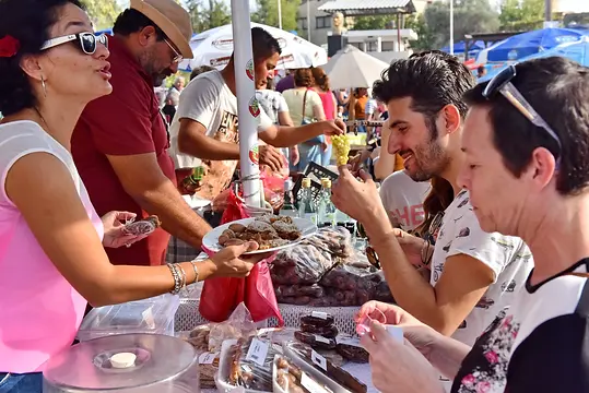 DSC_3298 Luricina Festivali.webp