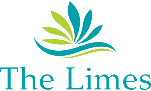 The Limes Campsite photo 2