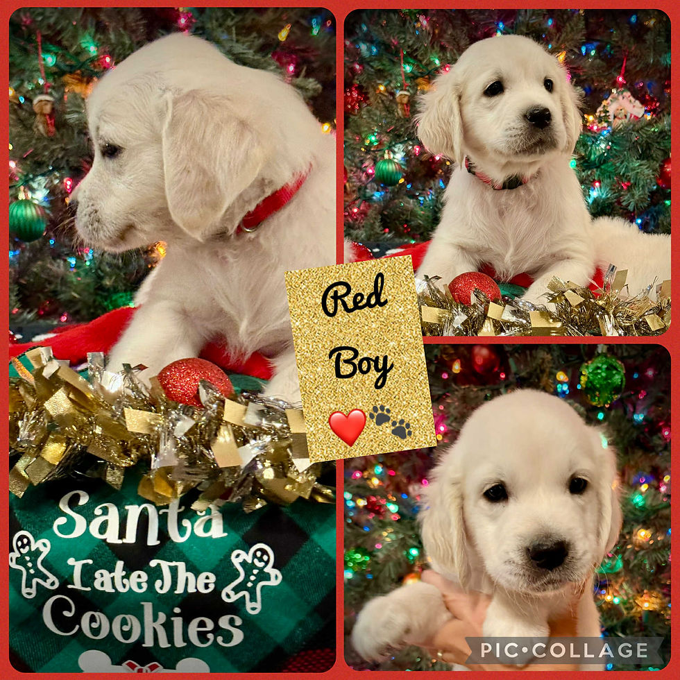 c47bdd89-b2ae-4e04-9b65-f16dc09707da