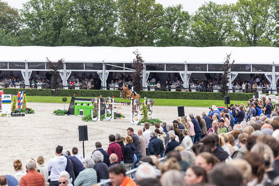 'DE WEEK VAN HET PAARD' WORDT GEVIERD BIJ JPM INTERNATIONAL