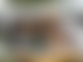 Lots of fun for kids