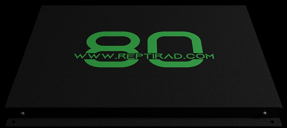 80w website.png