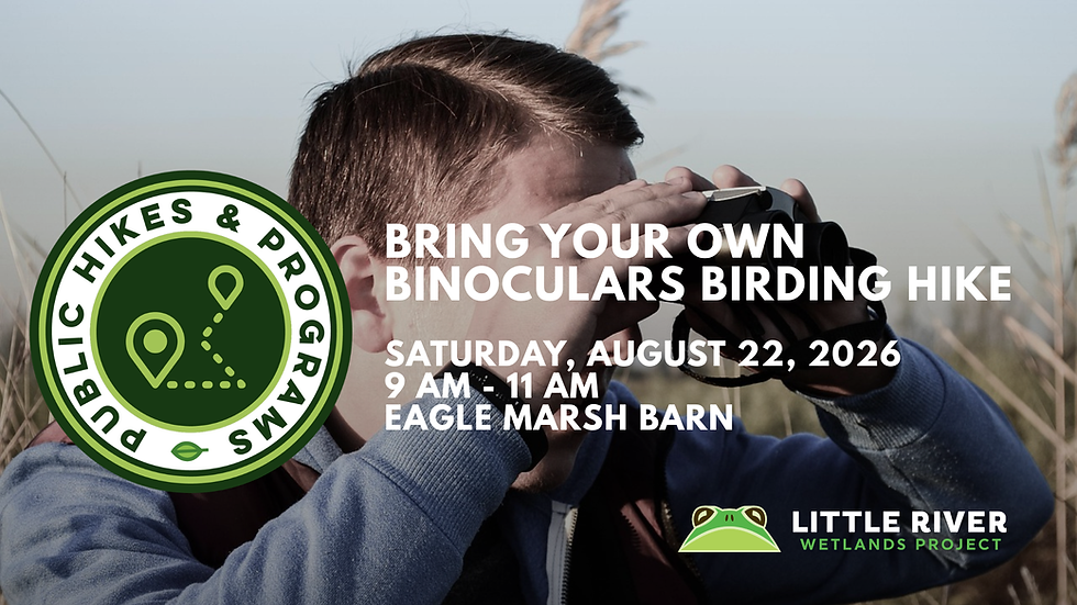 Bring Your Own Binoculars Birding Hike