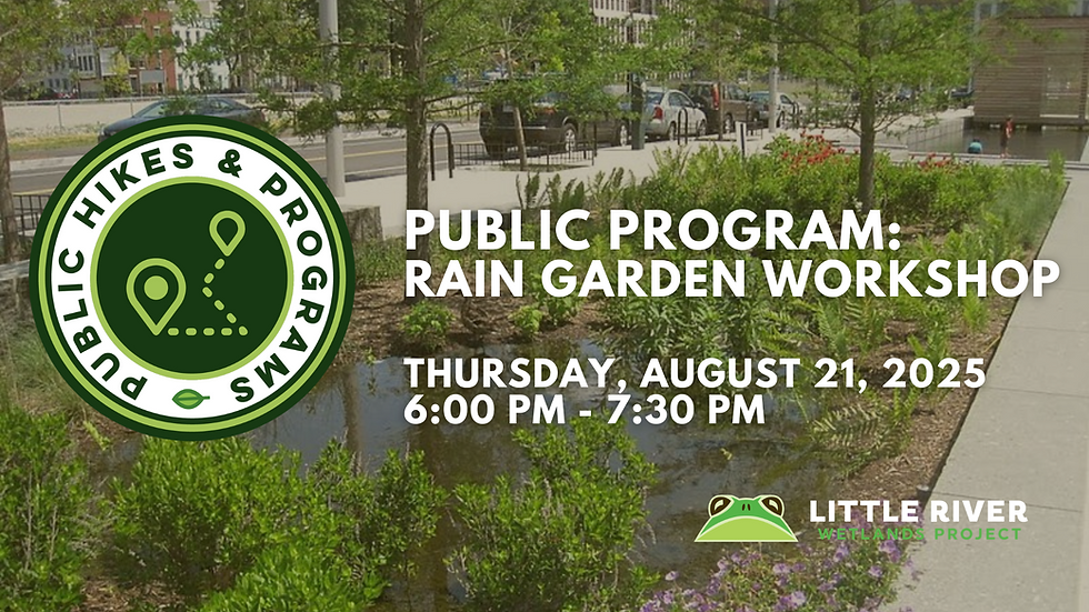 Public Program: Rain Garden Workshop