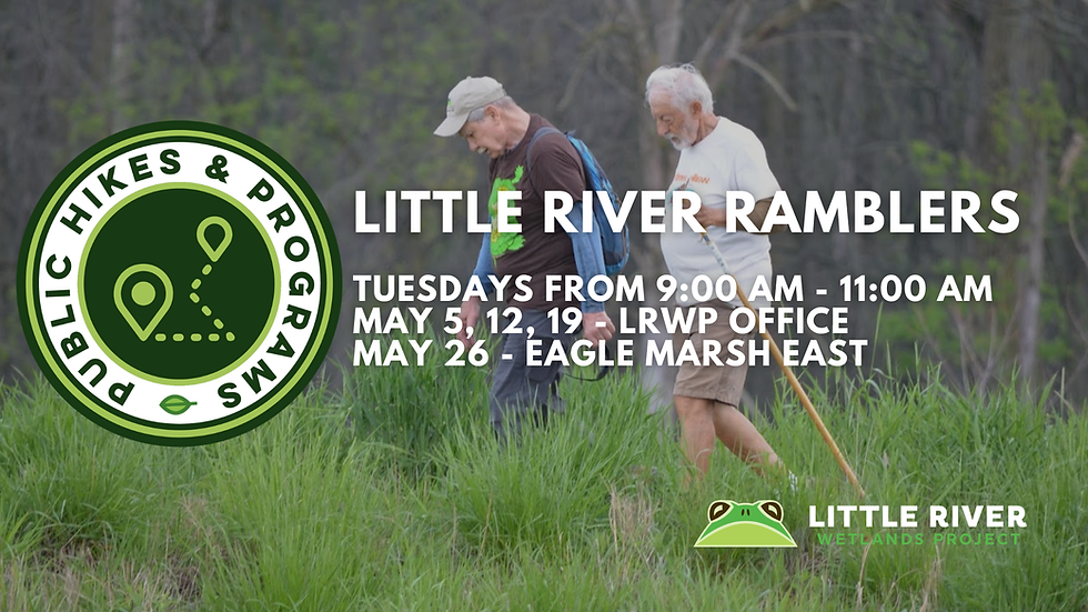 Little River Ramblers Hike