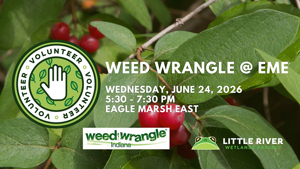 Weed Wrangle at Eagle Marsh East!