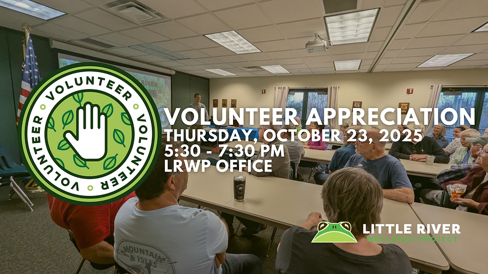 Volunteer Appreciation