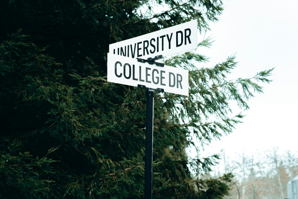 The intersection of University Dr. and College Dr. — a literal crossroads of choice.