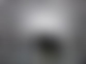 The Future of Art: Asset or Experience?