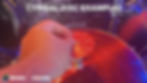 Thumbnail: Colored Drum Rings & Cymbal Mounts