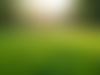 Understanding Lawn Care Cost Breakdown: What You Need to Know