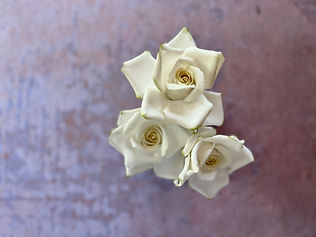 Dovey cake design white sugar roses