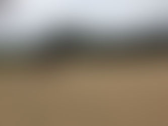 徳之島高校陸上部サポート