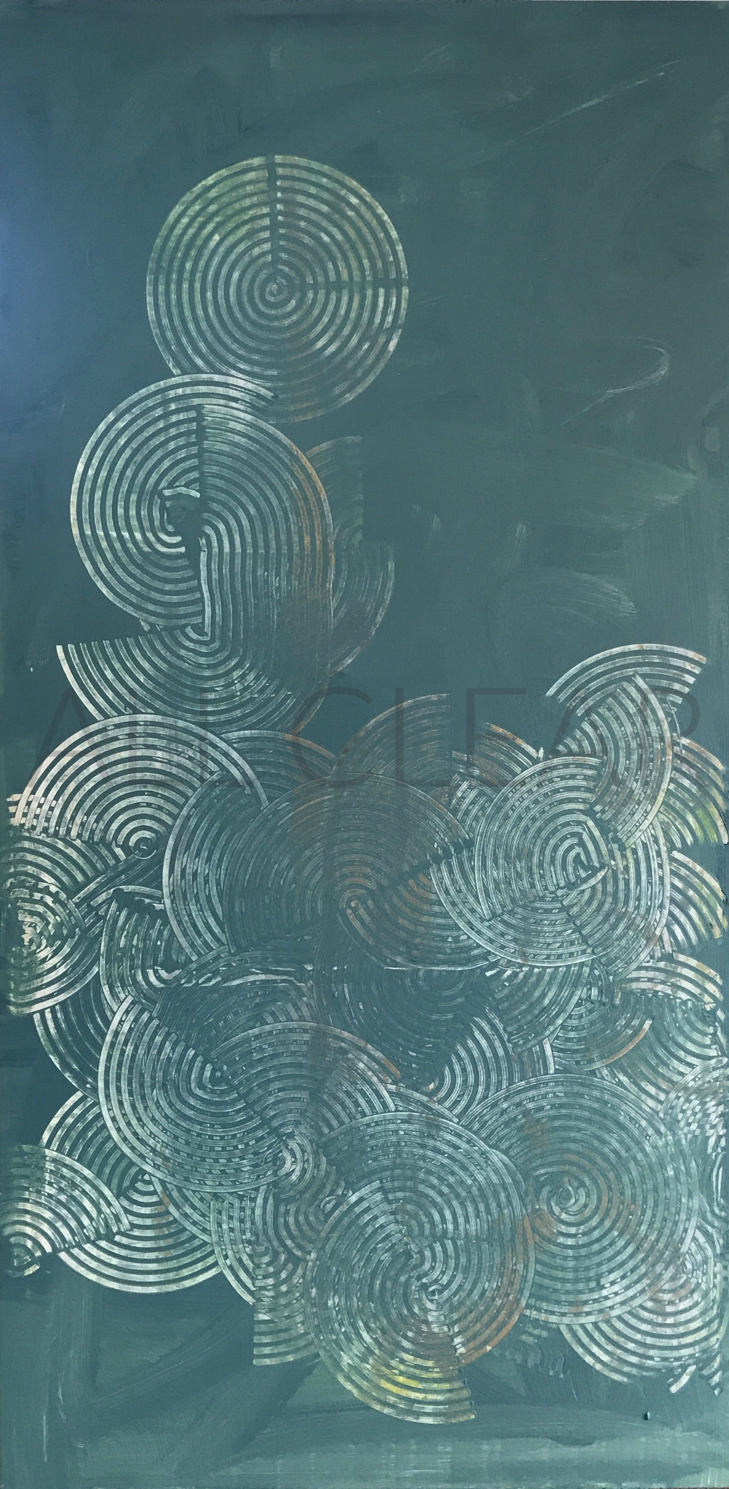 Disco  •  25" x 50"