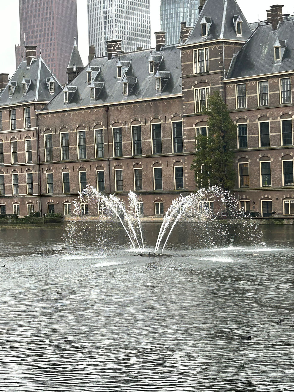 Den Haag Travel Guide: Entdecke die königliche Stadt am Meer