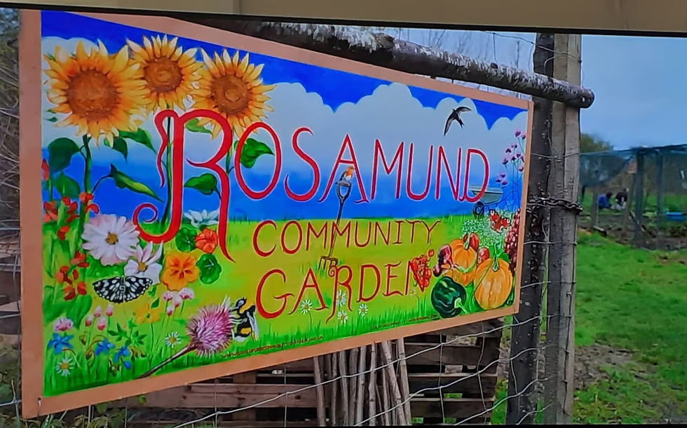 Introduction to Gardening Workshop (Part 1)