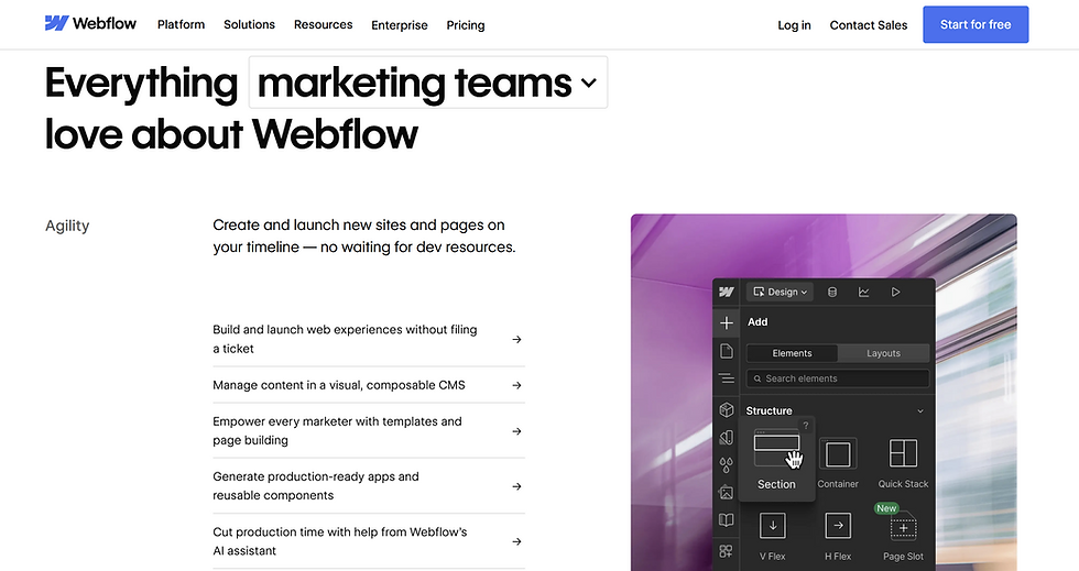 Webflow website screenshot