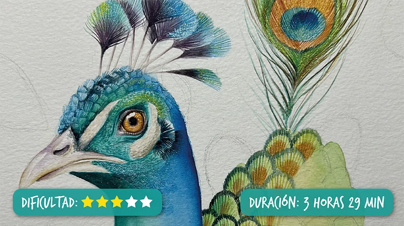 ilustracion de jirafa en acuarela