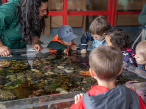 Eco-Camps Starting Soon: Sign up today!