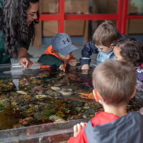 Eco-Camps Starting Soon: Sign up today!